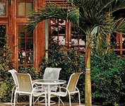 Moon Dance Villas