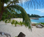 Anse Kerlan Beach Chalets