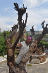 скульптура "Дерево Крита"