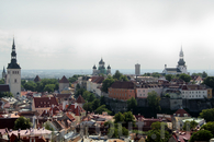 Таллин с высоты смотровой площадки на башне церкви Олевисте