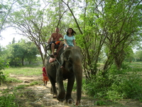 22 декабря 2010. Квай. Elephant Rides.
