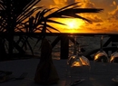 Фото Vilu Reef Beach & Spa Resort