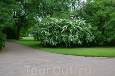 Царское Село и белки