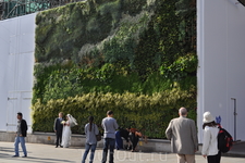 Живая картина.  (Трафальгарская площадь)
Первая в мире живая стена – копия полотна Ван Гога установлена на Трафальгарской площади в Лондоне.Компания ANSGROUP ...