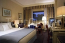 Фото Hotel Sheraton Roma