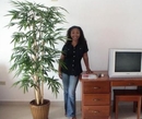 Фото Tropical Suites