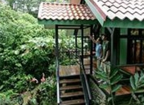 Rainforest Adventure Lodge