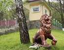 Фото Borzhava