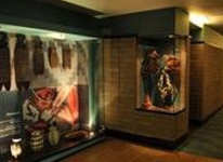 Diez Hotel Categoria Colombia