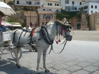 лошадка для туристов