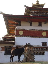 Монастырь Чими-Лакханг