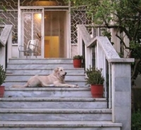 Фото отеля Albania