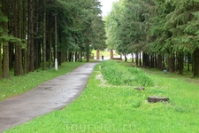 Городской парк.