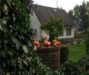 Фото Boltsche Hoeve Bed & Breakfast Escharen