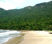 Damai Puri Beach Resort & Spa