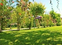 Alican Pension Cirali