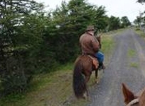 Hosteria Las Lengas - Tierra del Fuego
