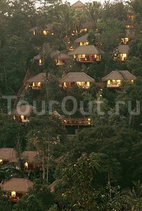 Фото отеля Nandini Bali Jungle Resort & Spa