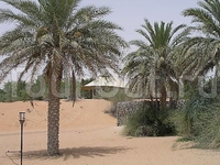 Al Maha Desert Resort & Spa