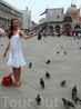 голуби на площади Сан Марко