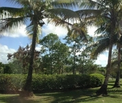 The Woods at Palmas del Mar
