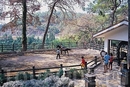 Фото  Taksim International (Naturland) Forest Resort 