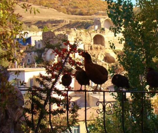 Aravan Evi Boutique Hotel Cappadocia