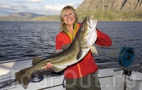Рыбалка в губернии Финнмарк.
Foto: Johan Wildhagen/Innovation Norway