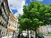 Являясь один из самых известных районов Мадрида, Саламанка представляет сейчас часть города с самой дорогой недвижимостью. Здесь есть жилая, торговая и ...