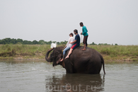 купание со слонами. Читван