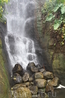 Водопад находится в биоме тропических лесов.