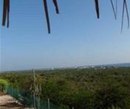 Фото Crown Terrace Villa