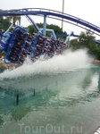 Sea World - Manta