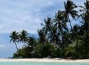 Фото Vilu Reef Beach & Spa Resort