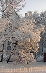 На улицах зимнего Тарту.