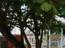 Фото Seawyf Cottage