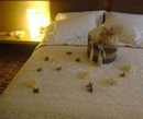 Фото Diez Hotel Categoria Colombia