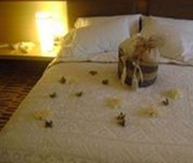 Diez Hotel Categoria Colombia