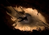 Фотография Пещера Крубера-Воронья
