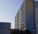 Фото Nivy