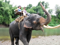 самый большой слон достался нам ))) 25 тонн