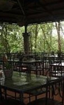 Rainforest Adventure Lodge