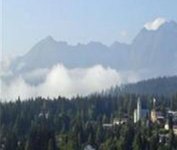 Alpenhotel Flims