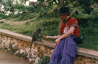 Парк нахальных обезьян - не будет орешков, отнимут шляпу.