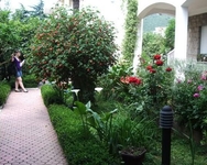 Villa Boskovich Villa Boskovich