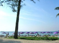 APK Resort and Spa (198 Pang-Muang)