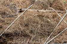 Уезжая в глубь острова в маленькие деревушки, можно лучше познакомиться с бытом и обычаями греков. Уезжая в глубь острова в маленькие деревушки, можно лучше познакомиться с бытом и обычаями греков.