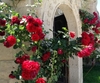 Фотография отеля Anatolian Houses Hotel Cappadocia