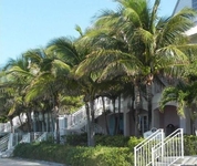 Old Bahama Bay Resort & Yacht Harbor