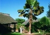 Фотография отеля Royal Decameron Baobab